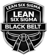 Lean Six Sigma Black Belt